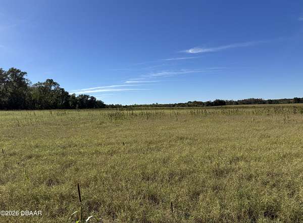 639 Acres of Recreational Land for Sale in Hawthorne, Florida