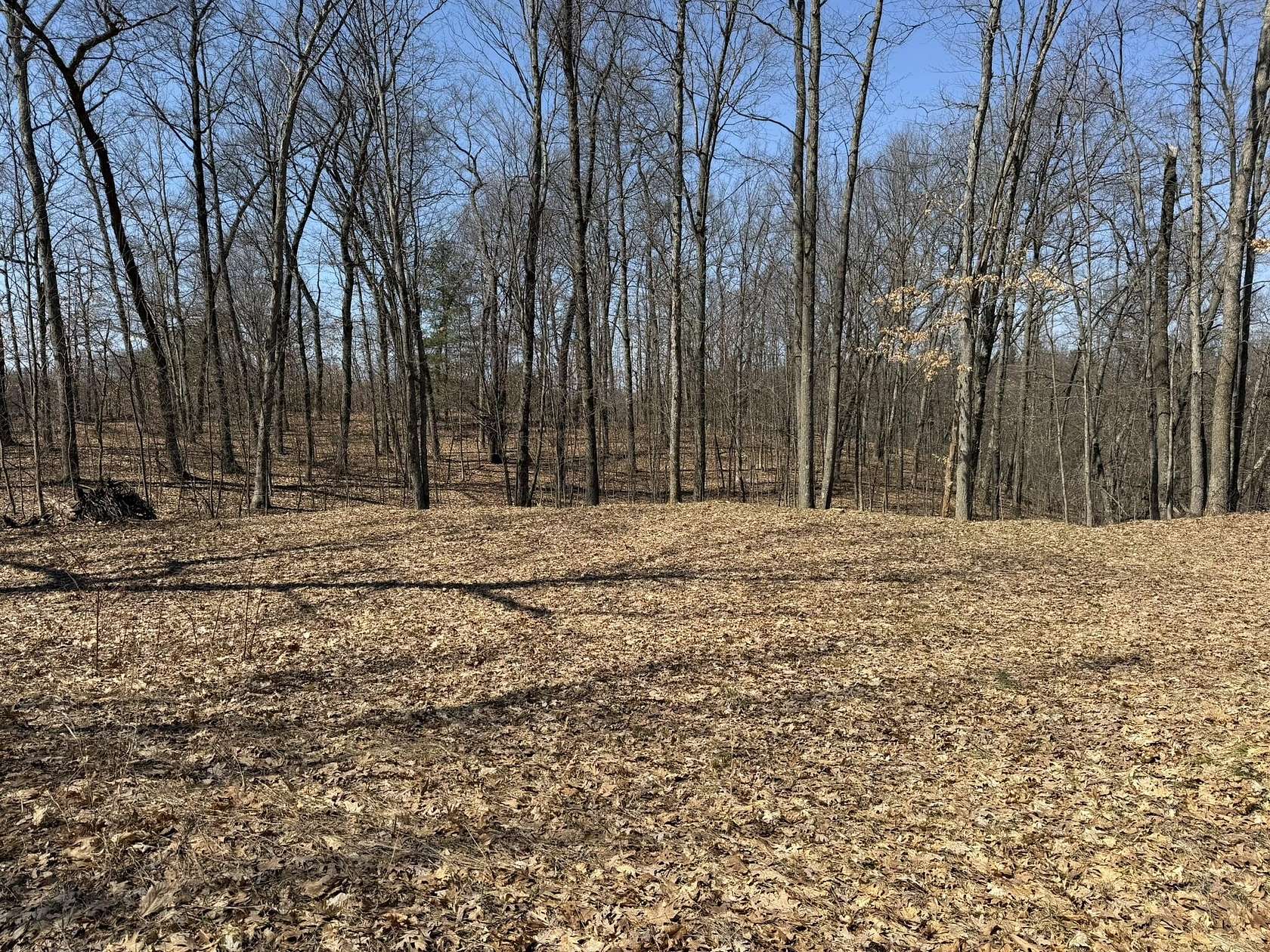 1.12 Acres of Land for Sale in Irons, Michigan
