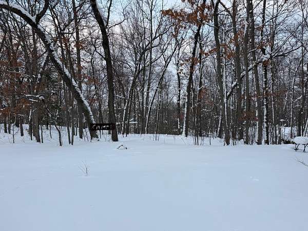 1.12 Acres of Land for Sale in Irons, Michigan