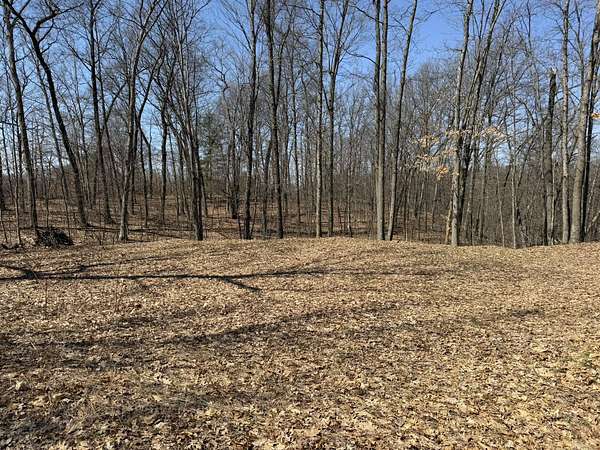 1.12 Acres of Land for Sale in Irons, Michigan