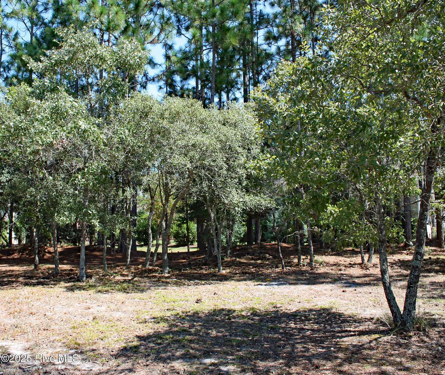 0.3 Acres of Residential Land for Sale in Ocean Isle Beach, North Carolina