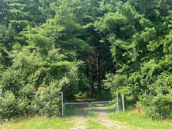 9.3 Acres of Land for Sale in Palms, Michigan