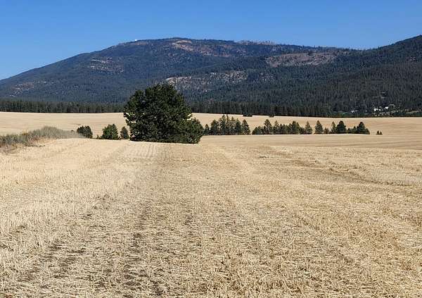 10 Acres of Residential Land for Sale in Mica, Washington