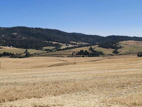 10 Acres of Residential Land for Sale in Mica, Washington