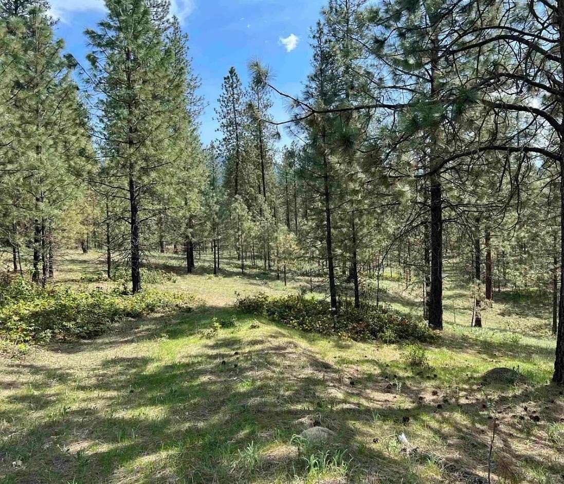 15.1 Acres of Land for Sale in Kettle Falls, Washington