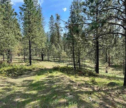 15.1 Acres of Land for Sale in Kettle Falls, Washington