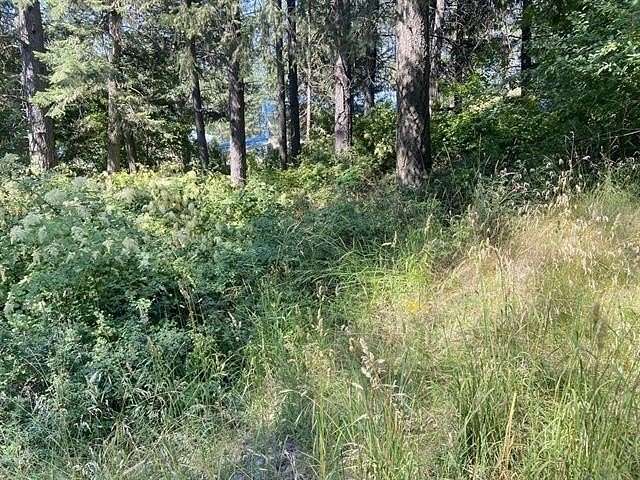 0.15 Acres of Residential Land for Sale in Loon Lake, Washington