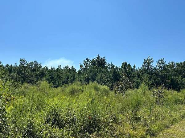 8.33 Acres of Residential Land for Sale in Valdosta, Georgia