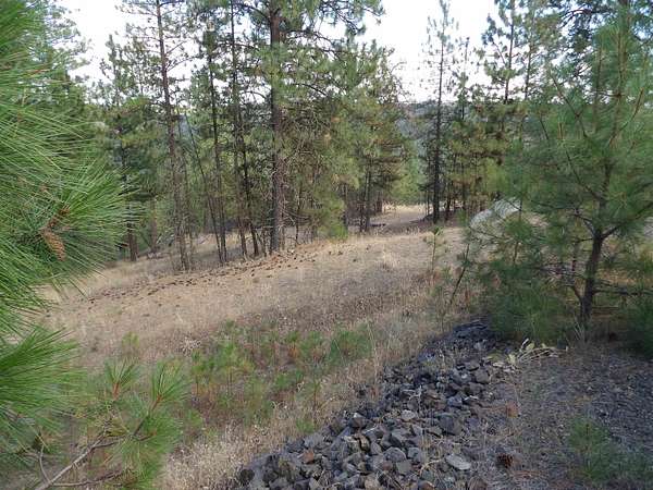 7.68 Acres of Recreational Land for Sale in Davenport, Washington