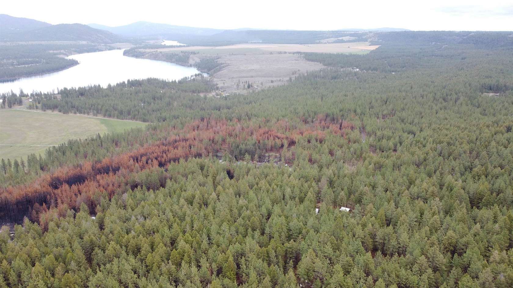 10.6 Acres of Recreational Land for Sale in Ford, Washington