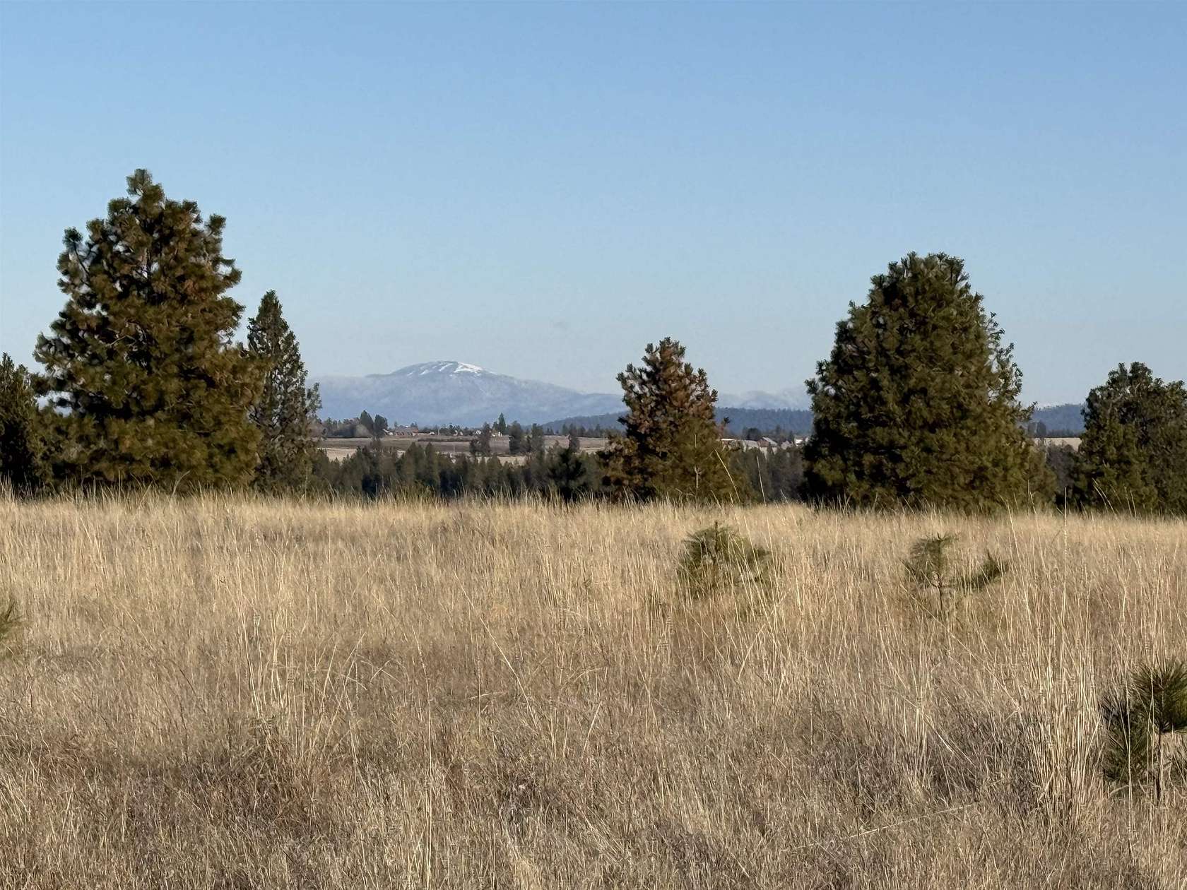 319 Acres of Recreational Land for Sale in Nine Mile Falls, Washington