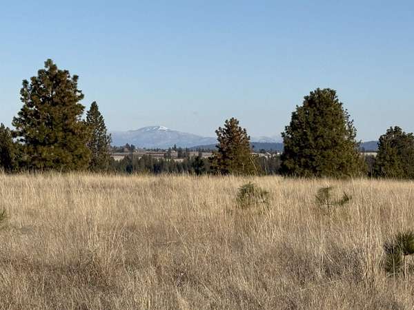 319 Acres of Recreational Land for Sale in Nine Mile Falls, Washington