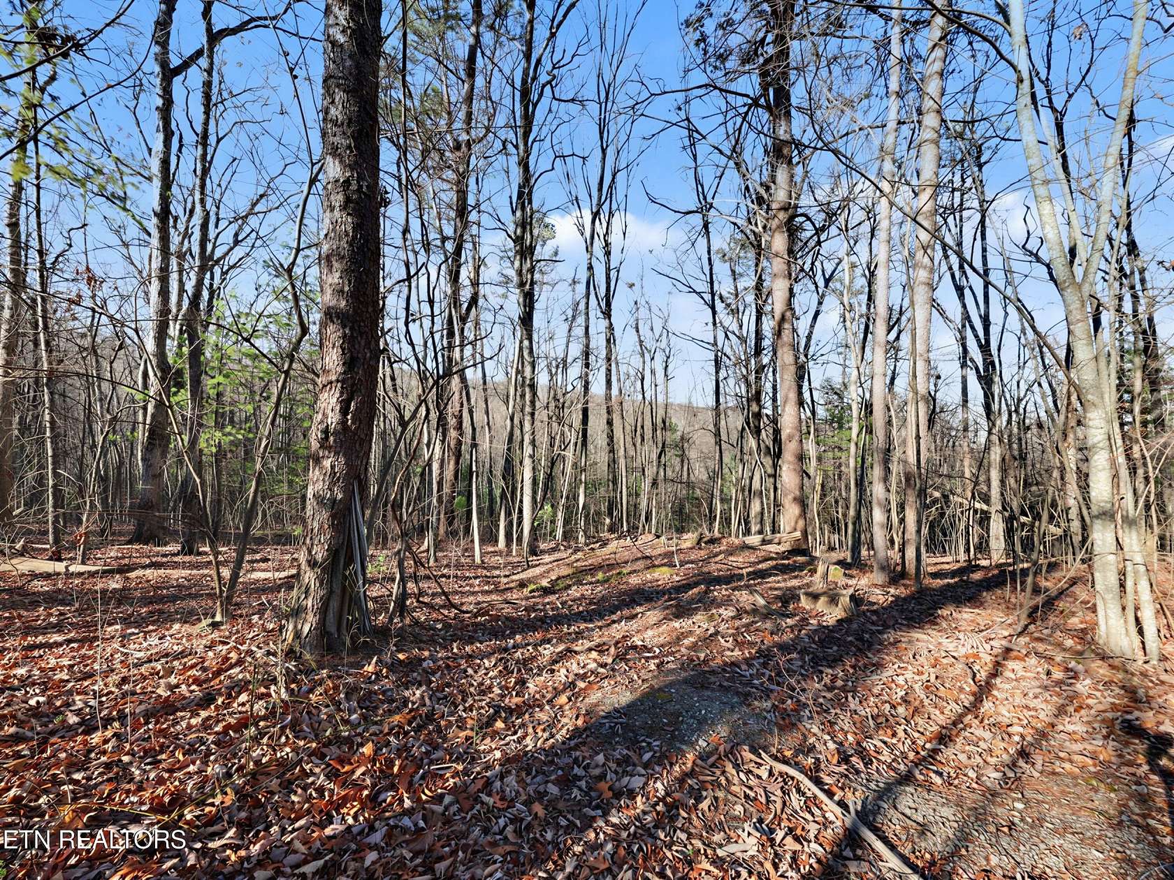 20 Acres of Recreational Land for Sale in Tallassee, Tennessee