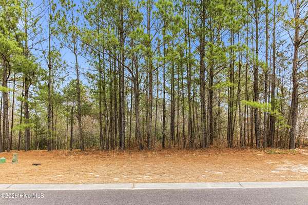 0.35 Acres of Residential Land for Sale in Leland, North Carolina