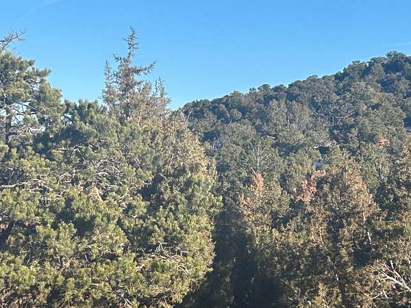 1.57 Acres of Residential Land for Sale in Fruitland, Utah