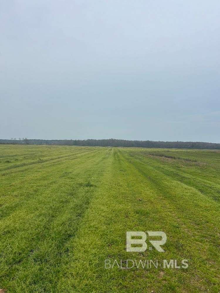 Land for Sale in Atmore, Alabama