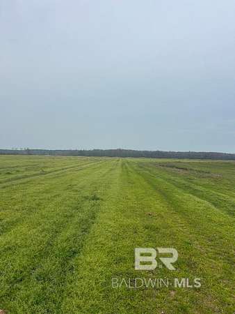 18 Acres of Land for Sale in Atmore, Alabama