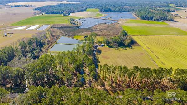 11 Acres of Recreational & Residential Land for Sale in Foley, Alabama