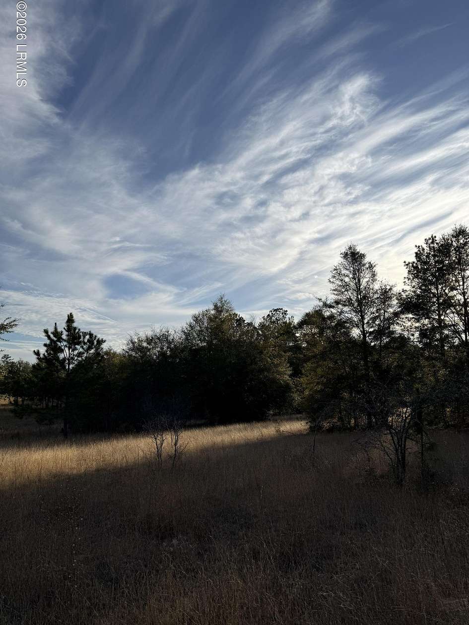 21.3 Acres of Land for Sale in Garnett, South Carolina