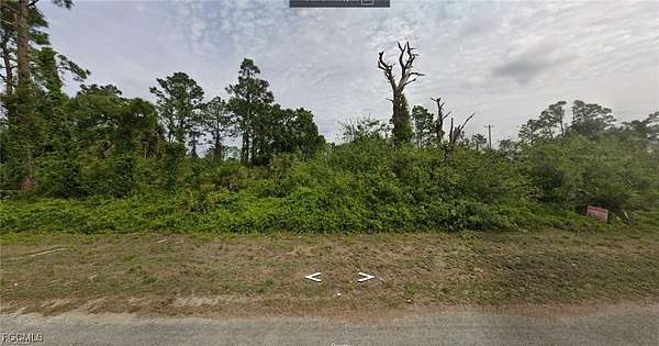 0.36 Acres of Residential Land for Sale in Lehigh Acres, Florida