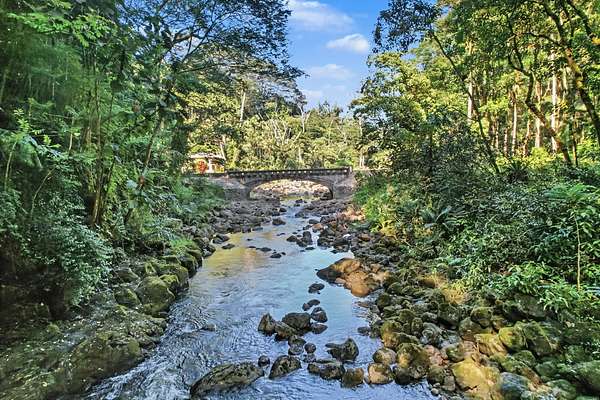 38.6 Acres of Land for Sale in Honomu, Hawaii