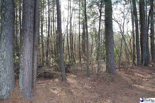 10.5 Acres of Land for Sale in Hartsville, South Carolina
