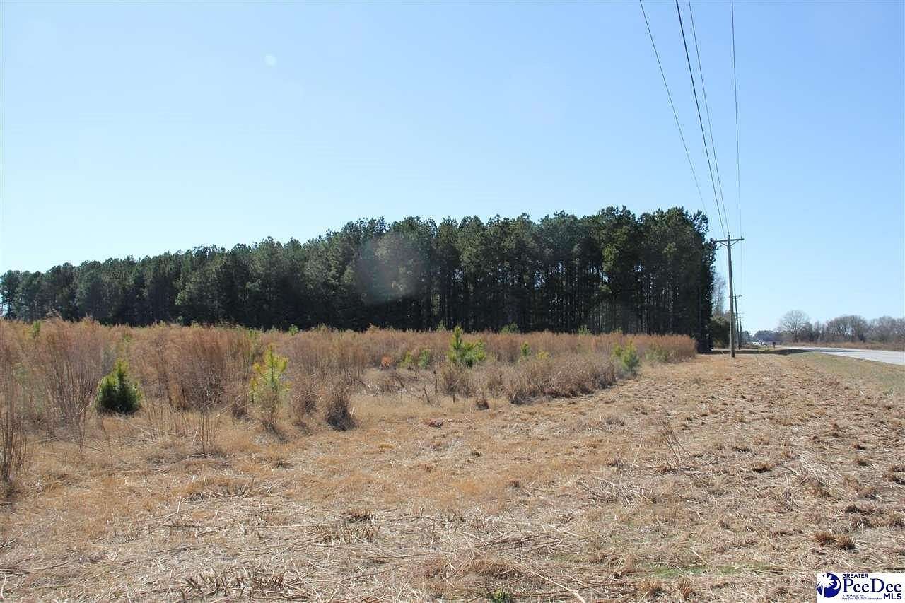 24 Acres of Recreational Land for Sale in Hartsville, South Carolina