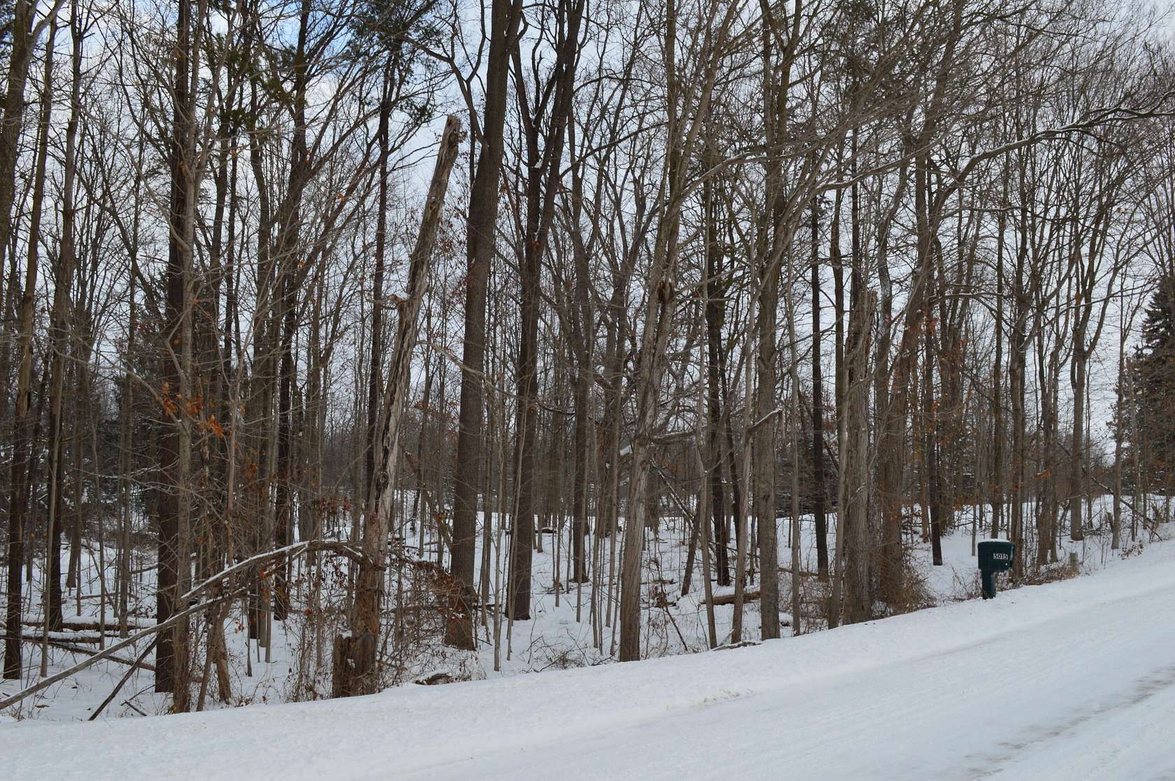 1.15 Acres of Residential Land for Sale in Saline, Michigan