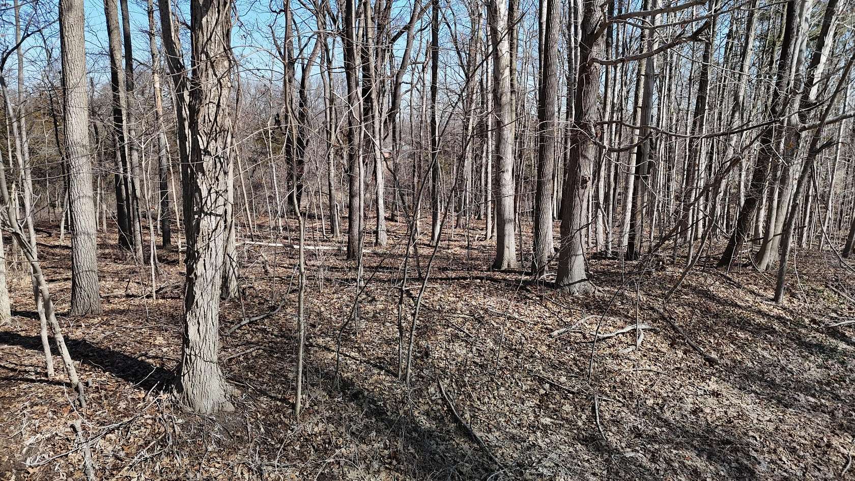 1.15 Acres of Residential Land for Sale in Saline, Michigan