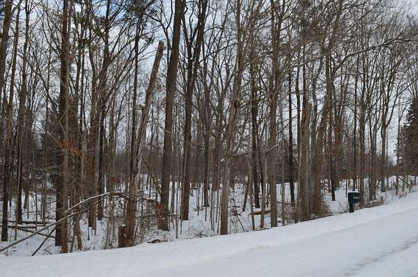 1.15 Acres of Residential Land for Sale in Saline, Michigan