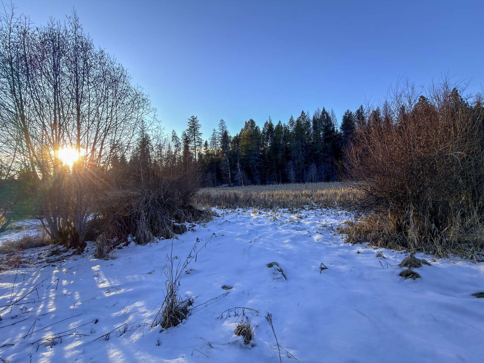 1.2 Acres of Land for Sale in Newport, Washington