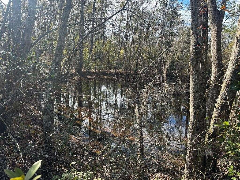 8.3 Acres of Residential Land for Sale in Valdosta, Georgia