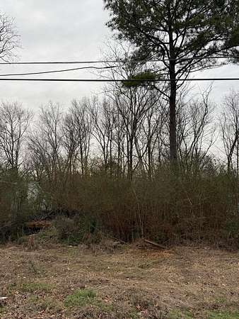 Land for Sale in Jasper, Alabama