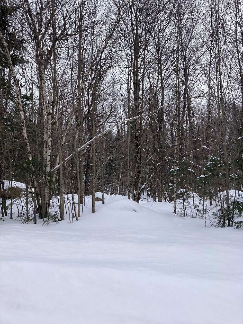 59.3 Acres of Recreational Land for Sale in North Bangor, New York