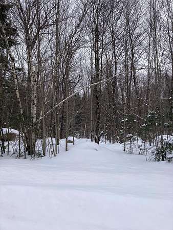 59.3 Acres of Recreational Land for Sale in North Bangor, New York