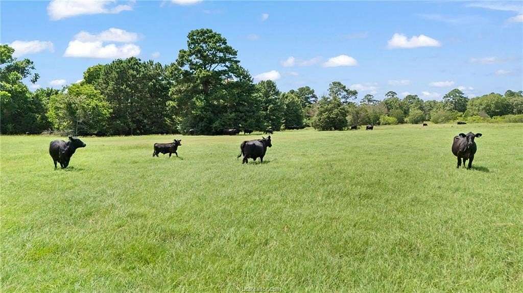 23.4 Acres of Recreational Land & Farm for Sale in Paige, Texas