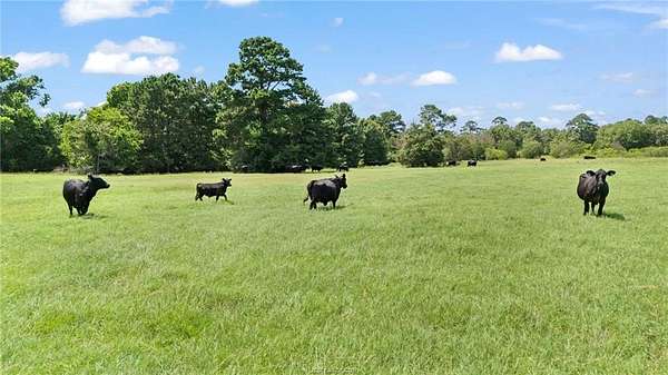 23.4 Acres of Land for Sale in Paige, Texas