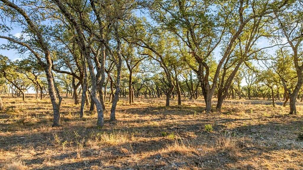 10 Acres of Recreational & Residential Land for Sale in Johnson City, Texas