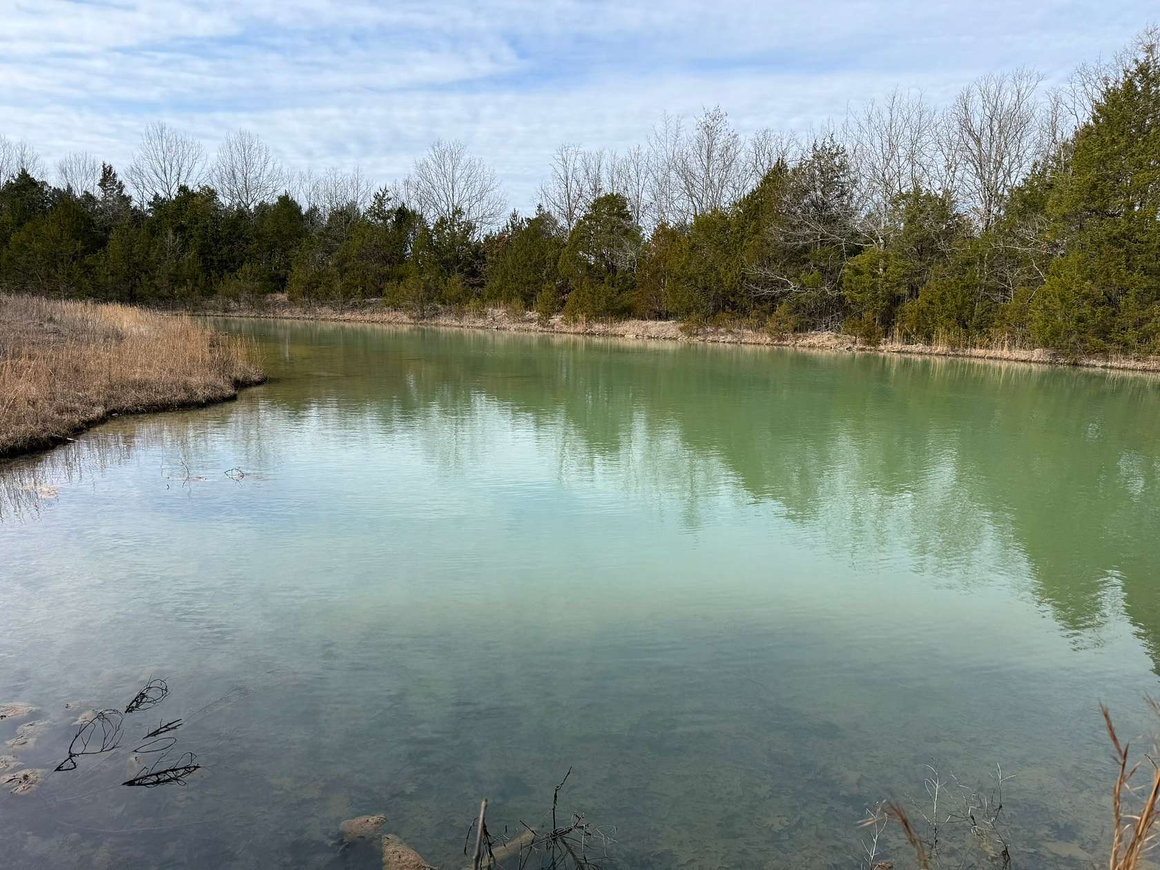 36.8 Acres of Recreational Land for Auction in Readyville, Tennessee