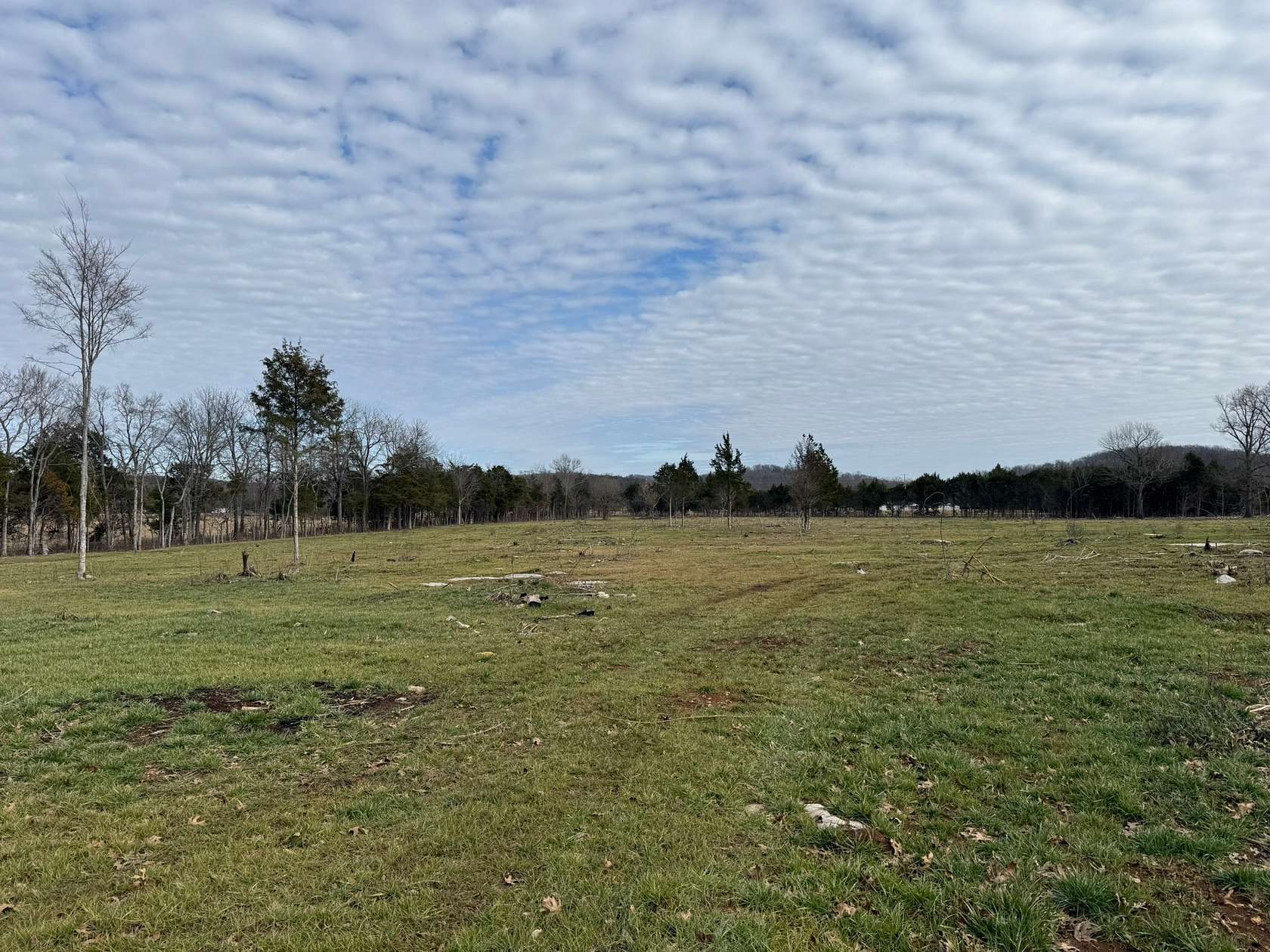 42.2 Acres of Recreational Land for Auction in Readyville, Tennessee