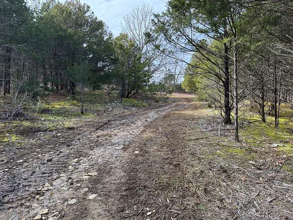 20 Acres of Recreational Land for Auction in Readyville, Tennessee