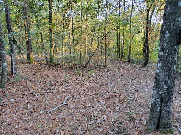 40 Acres of Recreational Land & Farm for Sale in Ponce de Leon, Florida