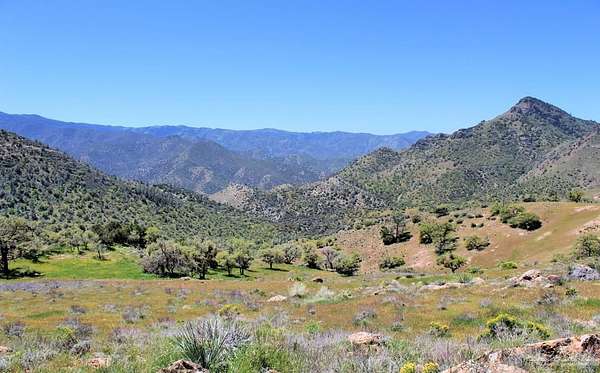 20 Acres of Recreational Land for Sale in Caliente, California