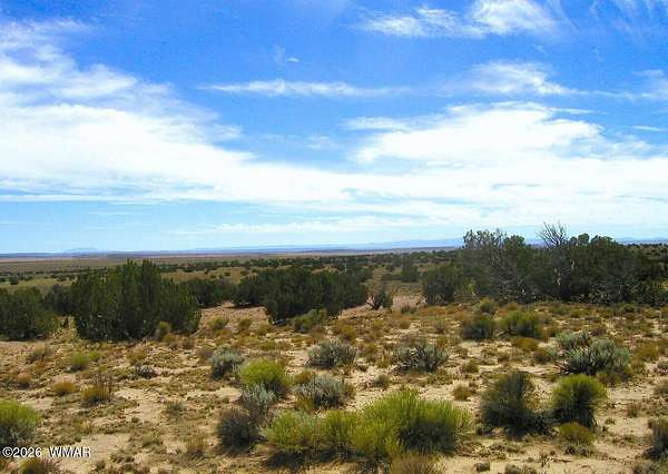 80 Acres of Recreational Land for Sale in St. Johns, Arizona