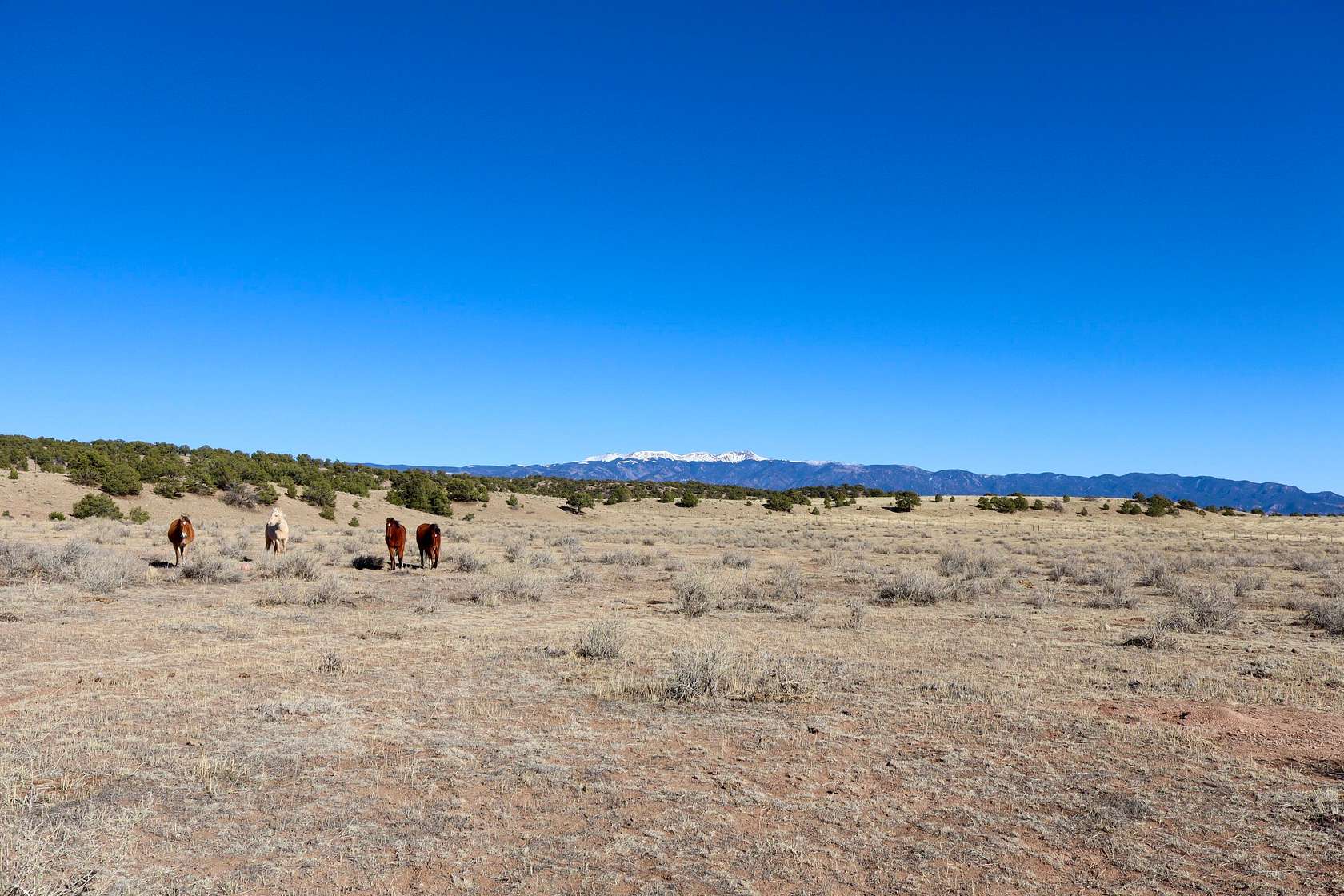 90 Acres of Land for Sale in Gardner, Colorado