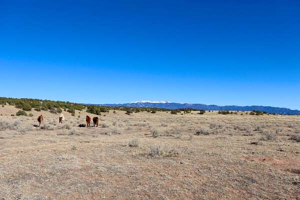 90 Acres of Land for Sale in Gardner, Colorado