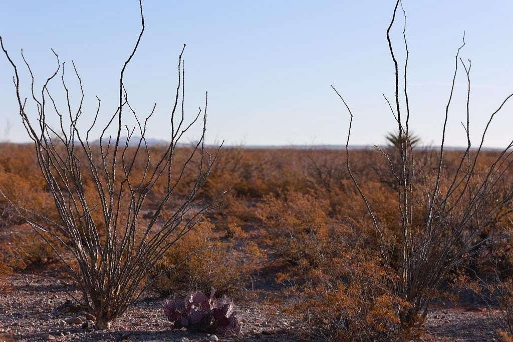 40 Acres of Land for Sale in Presidio, Texas