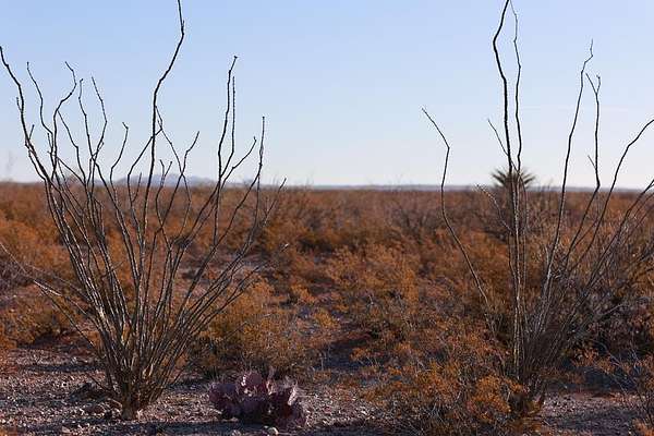 40 Acres of Land for Sale in Presidio, Texas