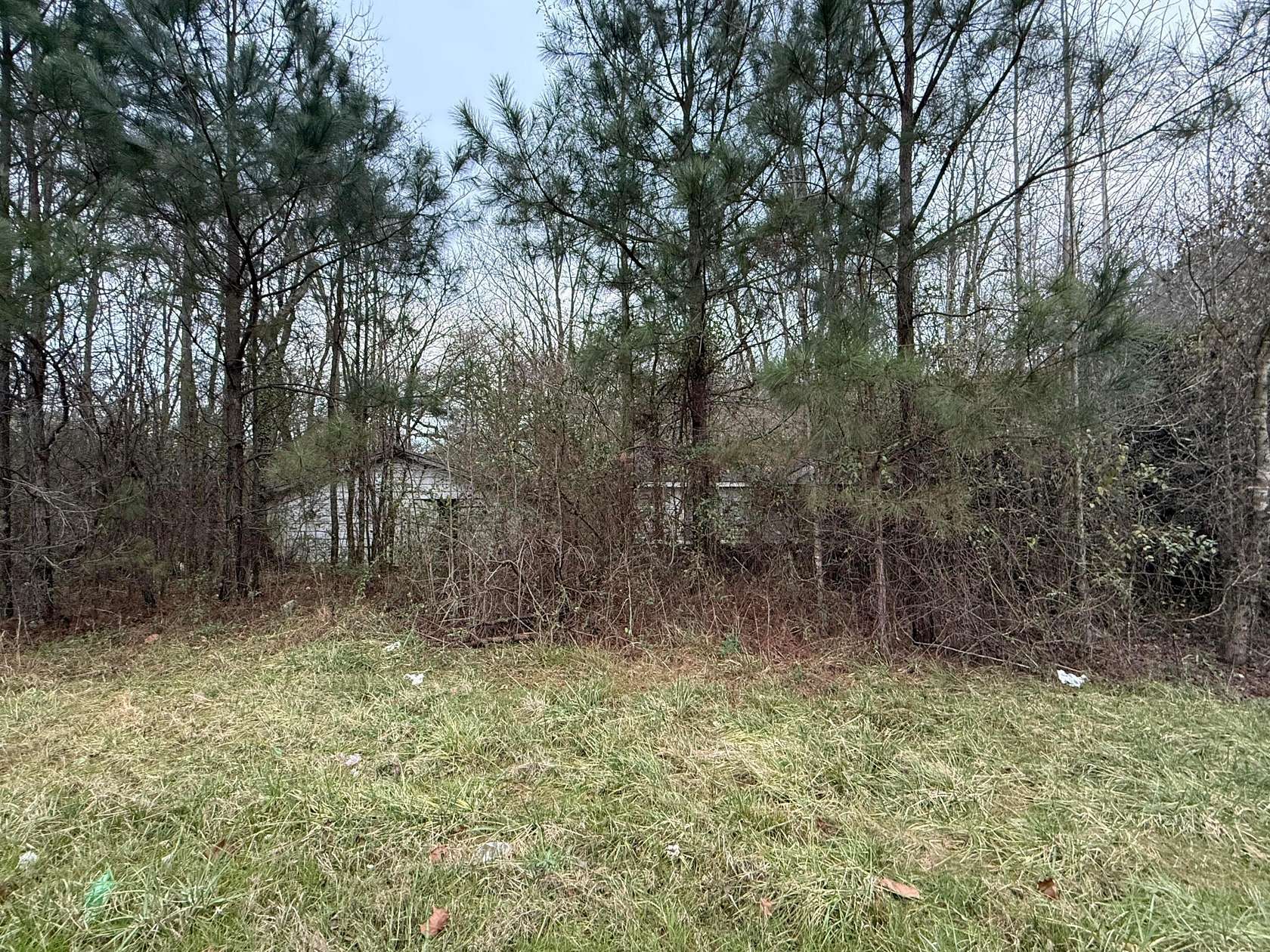 0.3 Acres of Residential Land for Sale in Jasper, Alabama