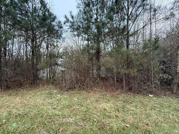 0.3 Acres of Residential Land for Sale in Jasper, Alabama